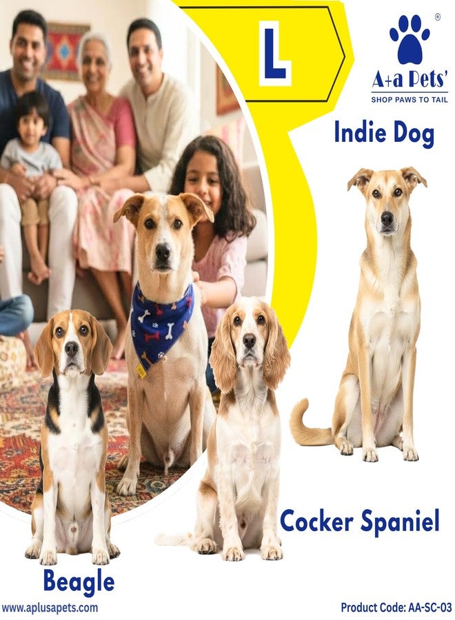 A+a Pets وشاح قطني ناعم وأنيق للحيوانات الأليفة من A+a Pets مزود بإبزيم للجراء والقطط | قابل للتعديل، مريح، وعصري (كبير، أزرق عظمي)، قطعة واحدة - Image 3